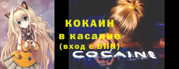 ПСИЛОЦИБИНОВЫЕ ГРИБЫ Вязьма