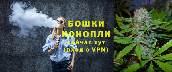 ПСИЛОЦИБИНОВЫЕ ГРИБЫ Вязьма