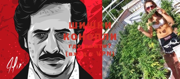 ПСИЛОЦИБИНОВЫЕ ГРИБЫ Вязьма