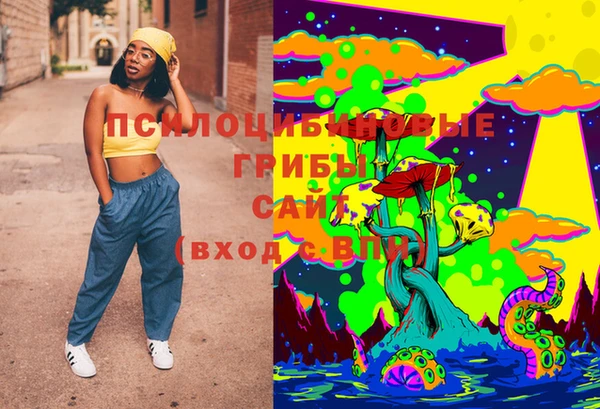 ПСИЛОЦИБИНОВЫЕ ГРИБЫ Вязьма